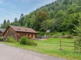 La Ferme aux Myrtilles - Ancienne ferme vosgienne