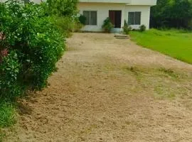 Peace farm