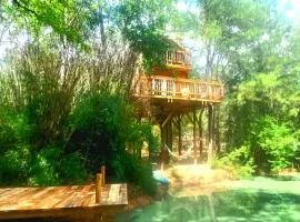 Waterfront Treehouse in a Magical Forest