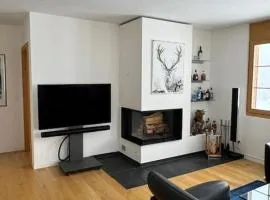 Design Flat Davos