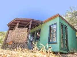 Backpacker's Dream with detached bathroom, private trails and creek!