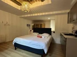 CELLAR- Appartement Sous-Sol Atypique