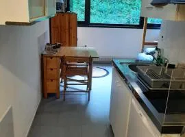 Studio 19 m2 à louer au Mont-Dore