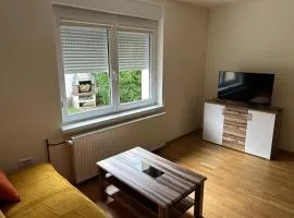 Apartment family guest house