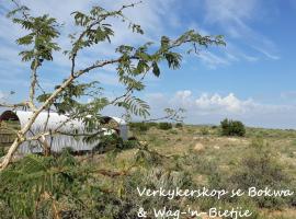 Knersvlakte Ossewaens Adam se Uitspanning, glamping site in Orania