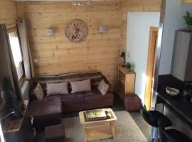 Duplex familial 6 pers, animaux admis, WiFi, Valloire - FR-1-263-297