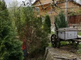 Piatra Mare Nehoiu 1
