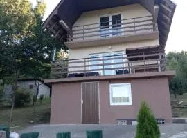 Vila Tea Borsko Jezero