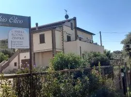 Agriturismo IL VECCHIO OLIVO