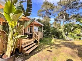 Un toit sur le bassin bungalow