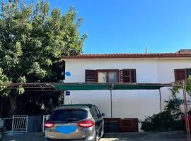 Apartments by the sea Prizba, Korcula - 23527