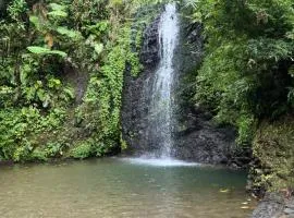 Le Ketmie nature et découverte