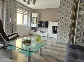 Apartament Tkaczy
