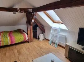 Studio centre ville Schirmeck