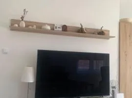 Stan na dan M