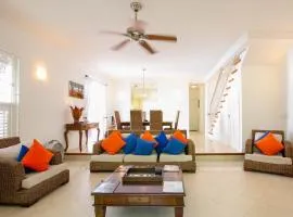 Turtle View 2 by Bluescape