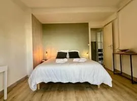 Loft avec parking centre Tours et bord du Cher Loire Valley