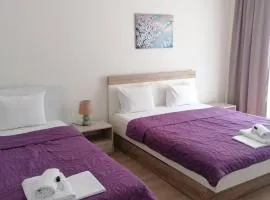 Petroski Apartments