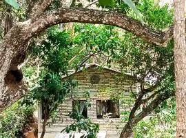 Edén Los Abuelos 2 - Casa Privada en Minca Nature