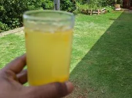 Madu's Mountain View Home