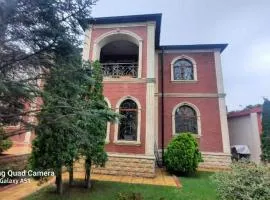 Villa in the center