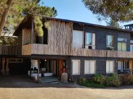 Cabañas Punta de Lobos
