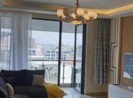 Pendo lux homes