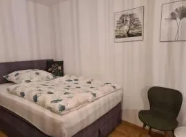 Schöne Appartement-Wohnung