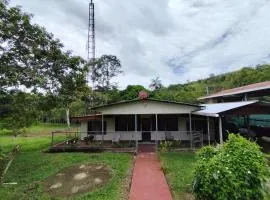 Hospedaje refugio en el Bosque