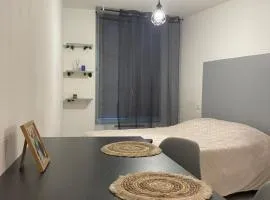 Studio centre-ville
