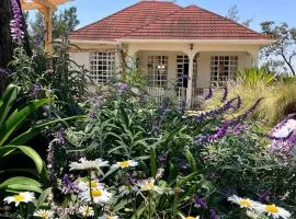 Allamanda House Meru