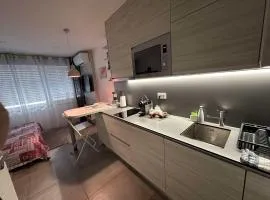 Djokovic's Apartment