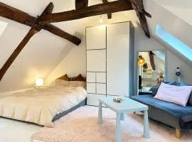 Lovely Rooftop designed Apt 200m to Panthéon N5-22