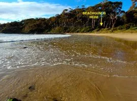 Beachgum