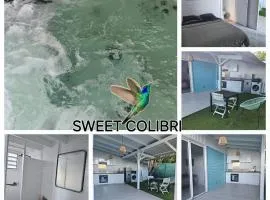 Sweet Colibri