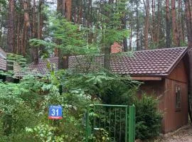Przytulny domek w lesie blisko rzeki