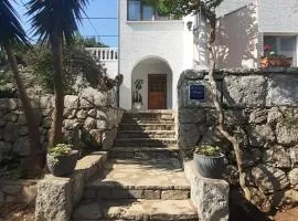 Apartment Bianca Mljet mit Meerblick