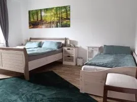 FeWo Deisterferien, Terrasse, Netflix, Wlan, A2, B65, Steinhude, bis 7 Personen