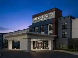 SpringHill Suites by Marriott Grand Rapids Airport Southeast