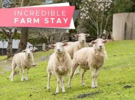 Carawatha on The Range - Unique Farm Stay