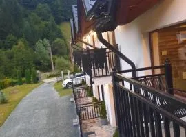 Apartamente Casa Albu