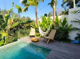 The Dream Villa