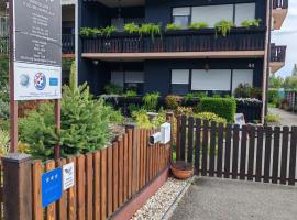 Apartman Ivana، مكان إقامة مع الخدمة الذاتية لإعداد الطعام في كارلوفاتش