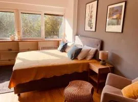 Centrally Chic Studio