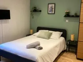 Joli appartement dans le coeur historique Ecusson