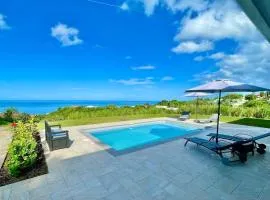 Magnifique villa 6 à 8 pers avec piscine - vue mer