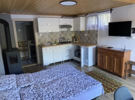 Studio Apartment, camping em Praid
