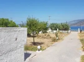 Theodora's Place
