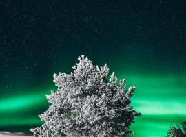 Forest Ranger's House, Authentic Lappish atmosphere, hotel em Äkäslompolo