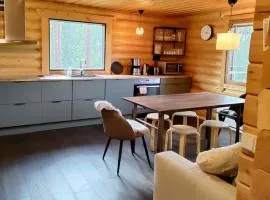 Ylläs Valokki